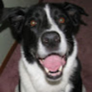 Meet your Posher, Jillian